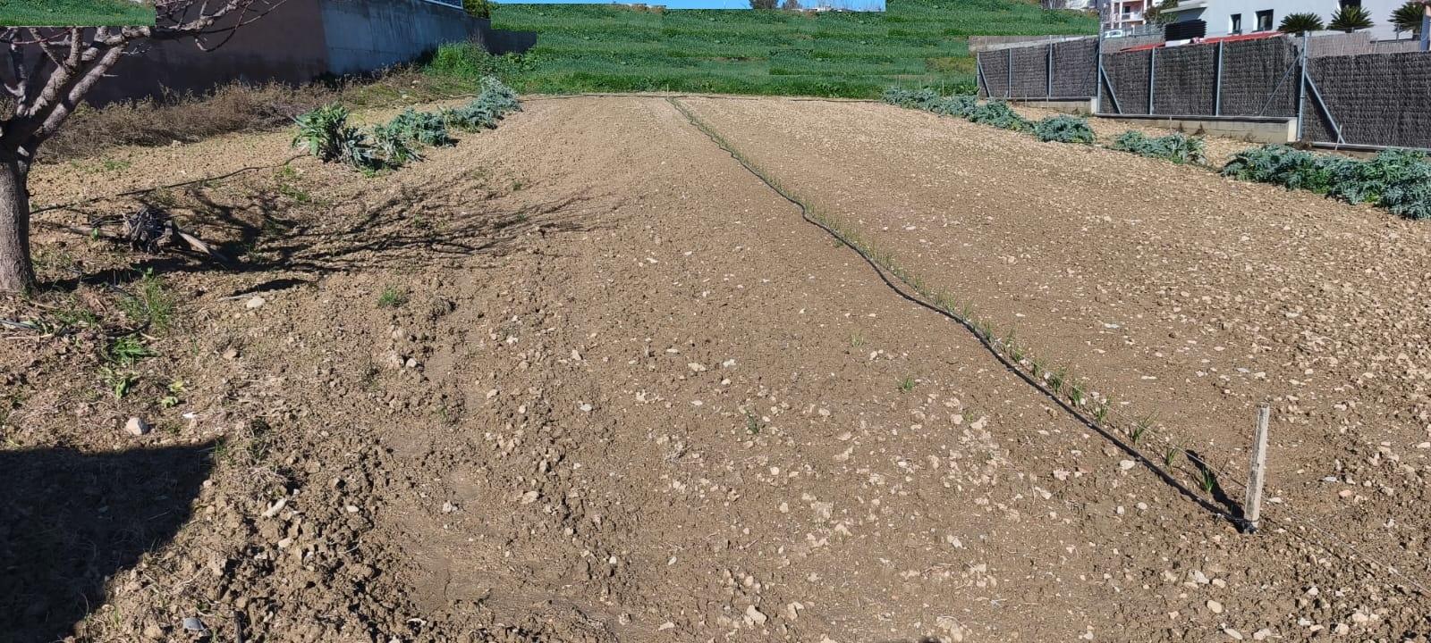 PARCEL·LA EDIFICABLE EN VENDA A VILOBI DEL PENEDÈS