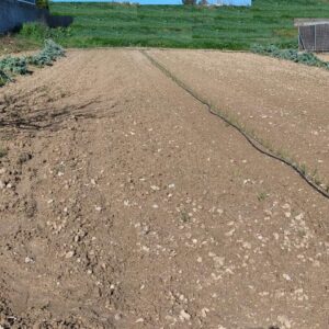 PARCEL·LA EDIFICABLE EN VENDA A VILOBI DEL PENEDÈS