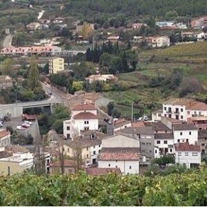 CONJUNT DE 3 PARCEL·LES EN VENDA A PONTONS -BARCELONA