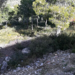 Parcel.la en venda en La Bisbal del Penedès