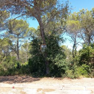 Terreny pla a Torrelles de Foix