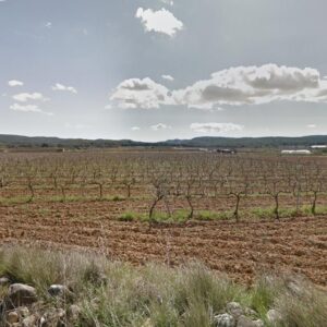 TERRENY RÚSTIC EN VENDA A L'ARBOÇ