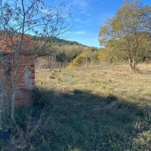 ES VEN TERRENY D'HORTICULTURA A SANT QUINTI DE MEDIONA