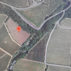 ES VEN TERRENY PER INICIAR VIÑA -LES MASUQUES