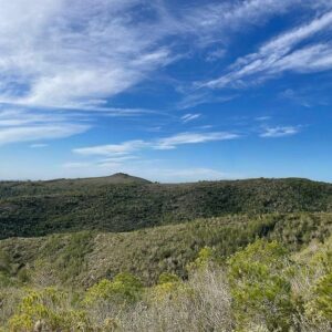 FINCA RÚSTICA EN EL MONTMELL (TARRAGONA)