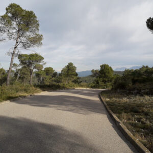 Terreny en venda en Mediona