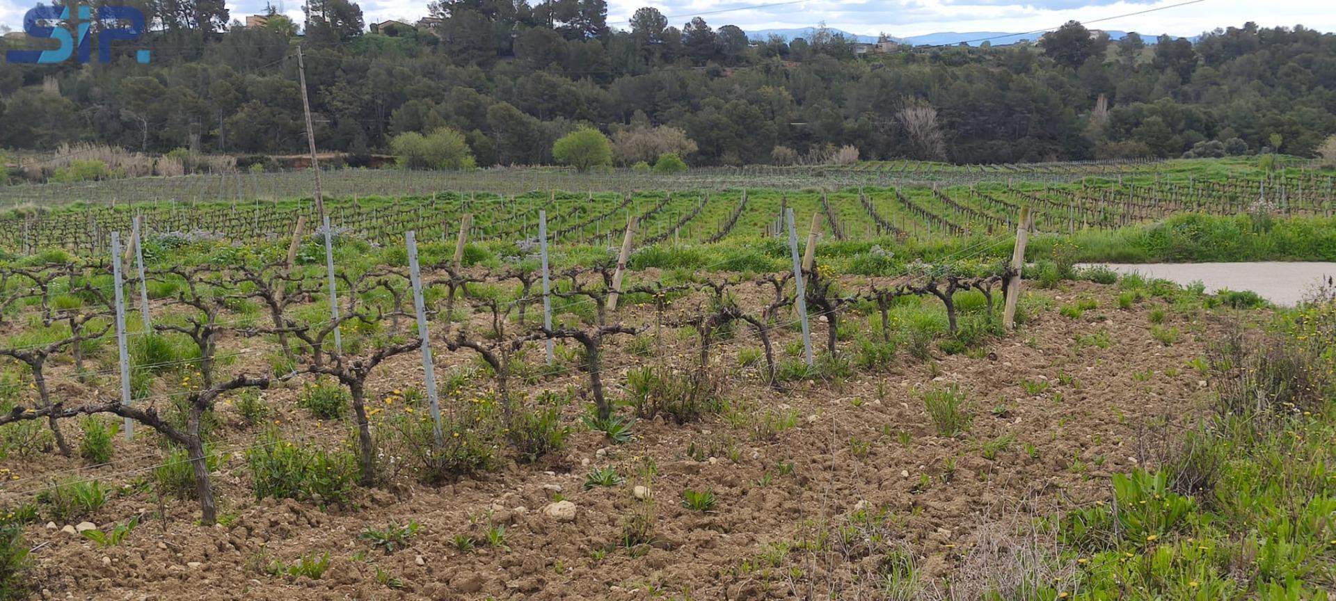 CASA A LLOGUER A GUARDIOLA DE FONT-RUBI