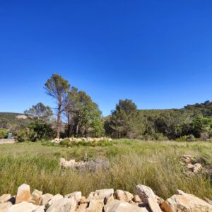 ÚNIC TERRENY URBÀ EN VENDA AL COLL DE LA BARRACA