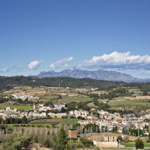 PARCEL·LA EN VENDA A TORRELAVIT AMB MOLTES POSSIBILITATS