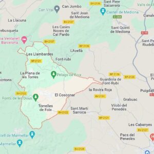 Parcel.la en venda en Torrelles de Foix