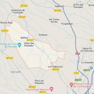 Parcel.la en venda en Vilobí del Penedès