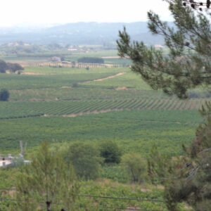 Parcel.la en venda en Torrelles de Foix