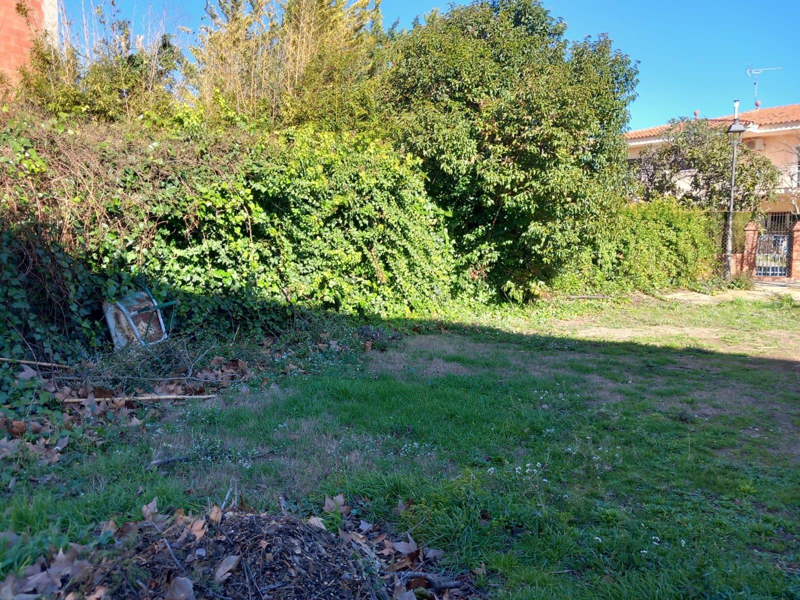 Conjunto urbano residencial + industrial a reformar con opción a patio.