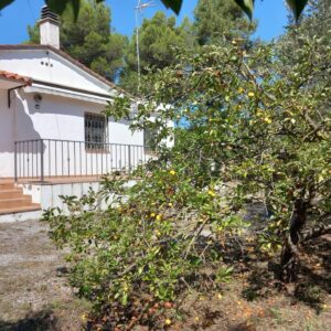 Casa d´una planta en terreny de 1009m²