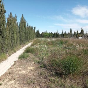 TERRENY NO URBANITZABLE EN VENDA A VILAFRANCA